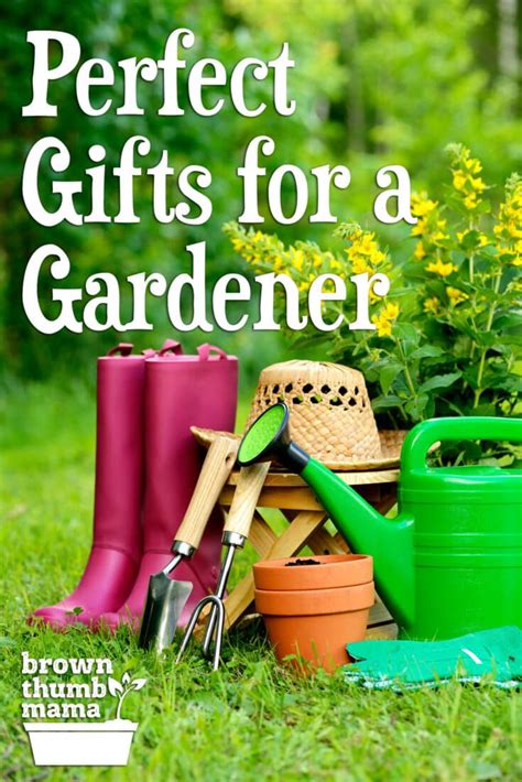 12 Christmas and holiday gifts for the gardeners in your life